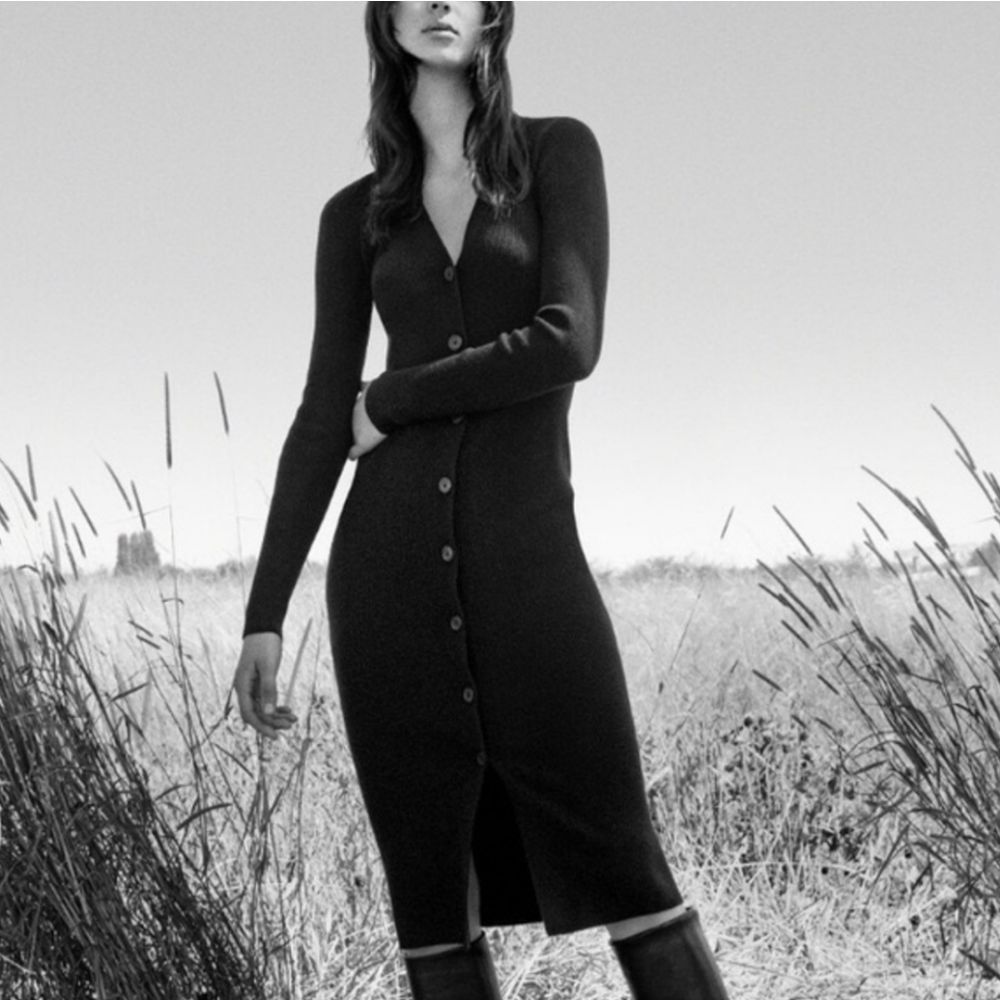 Wilfred Charcoal Button-Down Midi Dress